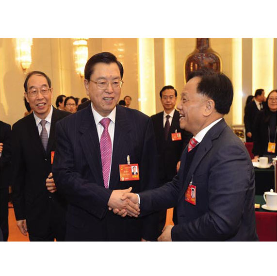 中央政治局常委，十二届全国人大常委会委员长张德江与李振生董事长亲切握手并合影
